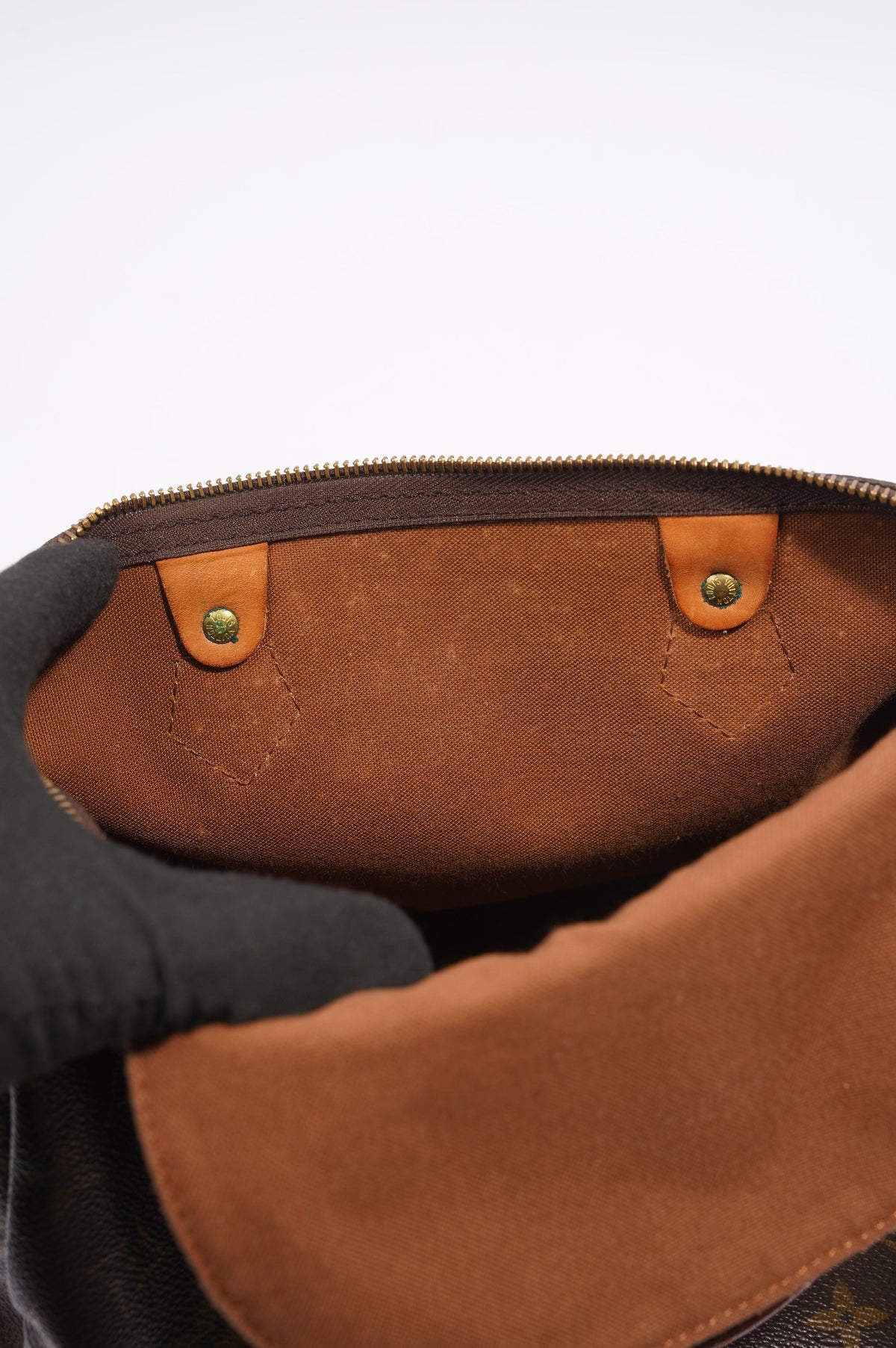 Louis Vuitton Speedy Monogram Canvas 30