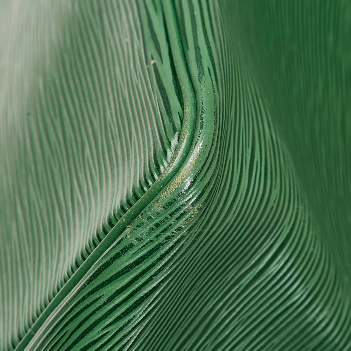 Louis Vuitton Petit Noé Green Epi