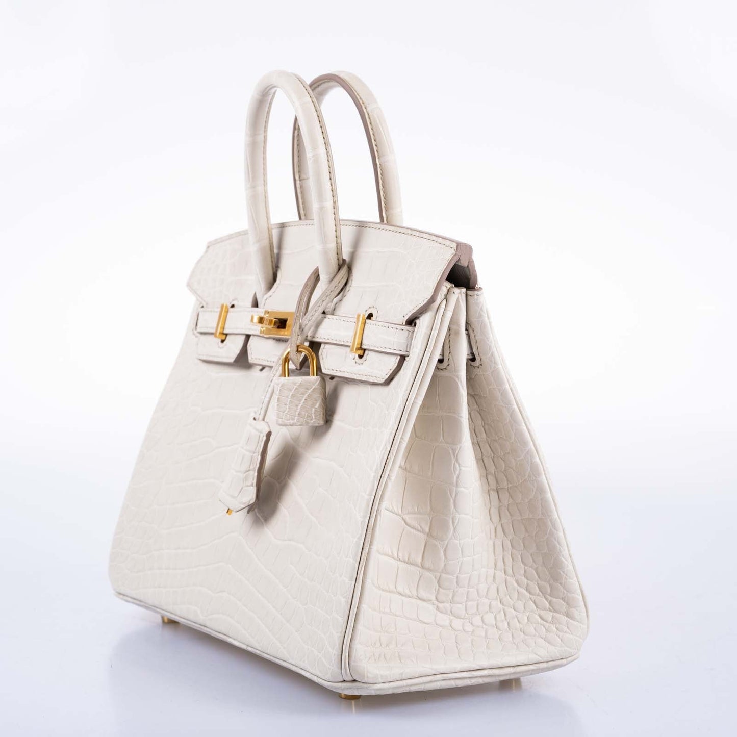 Hermès Birkin 25 Beton Matte Alligator Gold Hardware