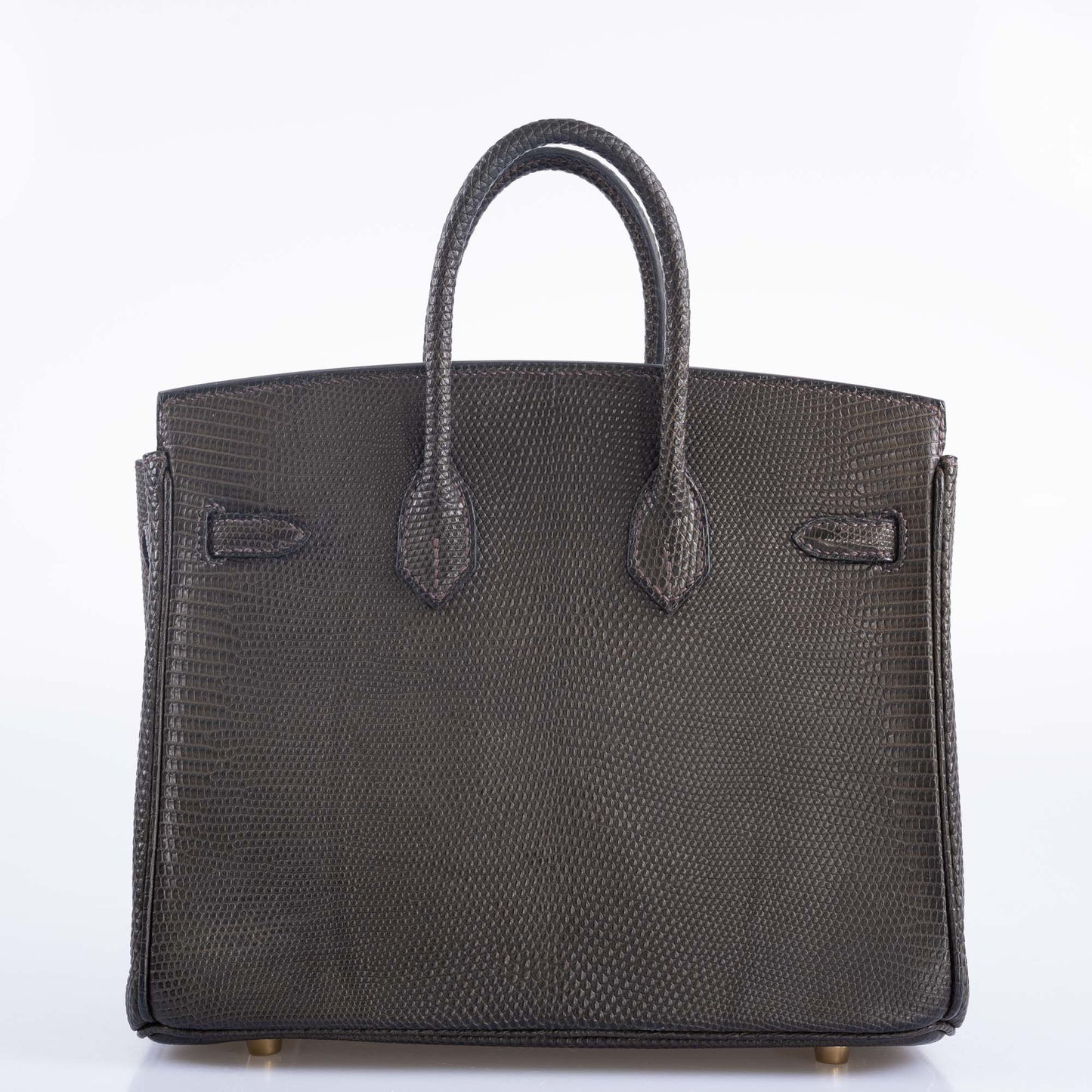 Hermès Birkin 25 Ebene Matte Salvator Lizard Gold Hardware