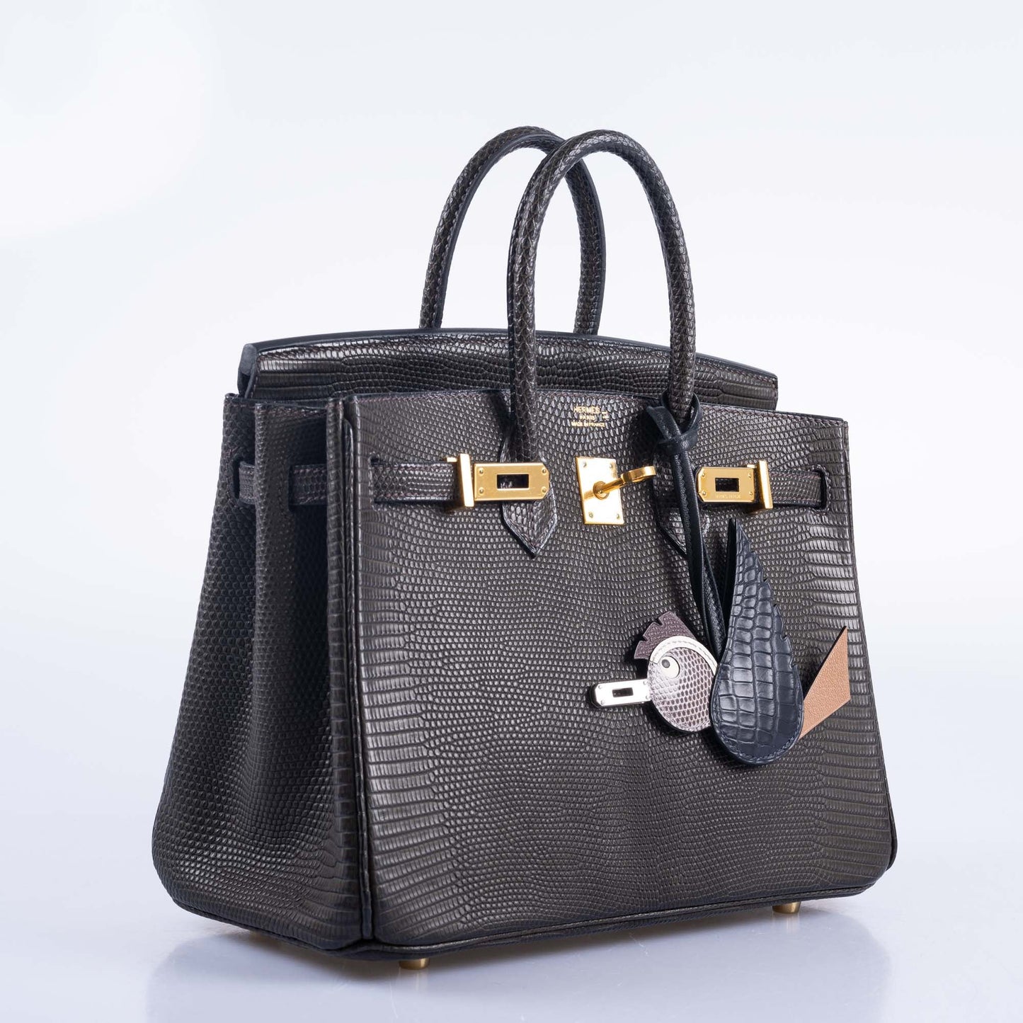 Hermès Birkin 25 Ebene Matte Salvator Lizard Gold Hardware