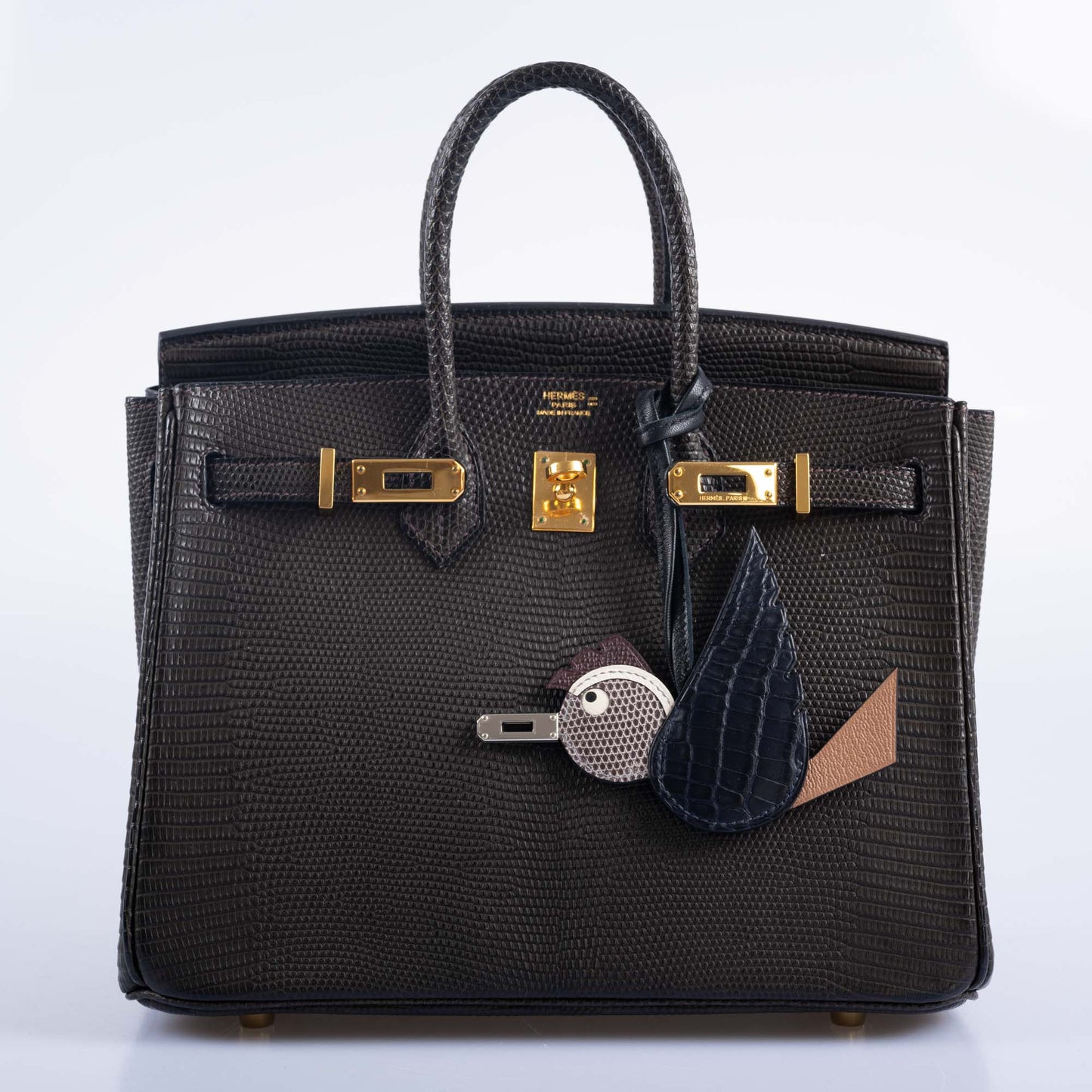 Hermès Birkin 25 Ebene Matte Salvator Lizard Gold Hardware