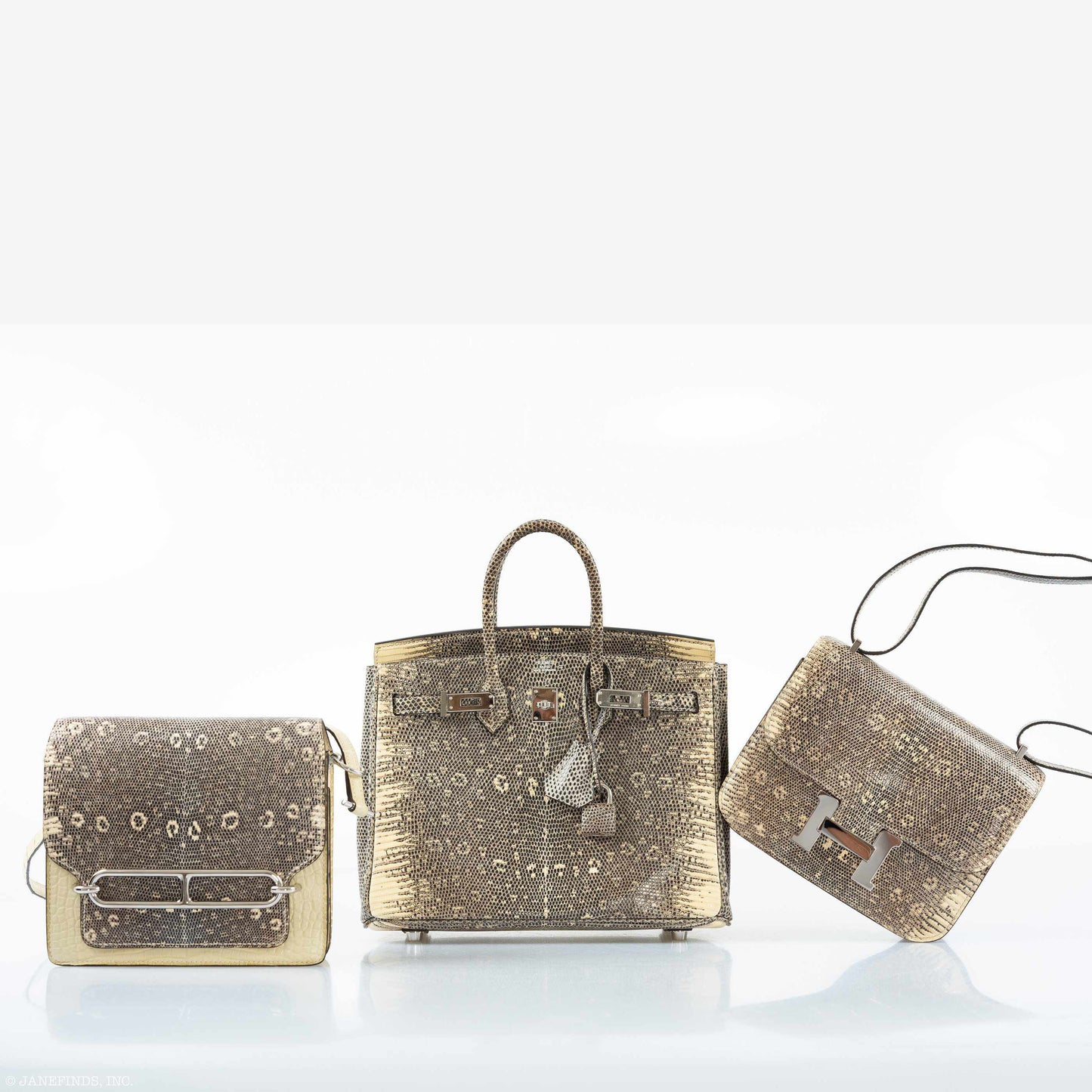 Hermès Birkin 25 Ombre Lizard Palladium Hardware - Rare