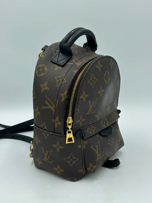 Louis Vuitton Palm Springs Mini Backpack