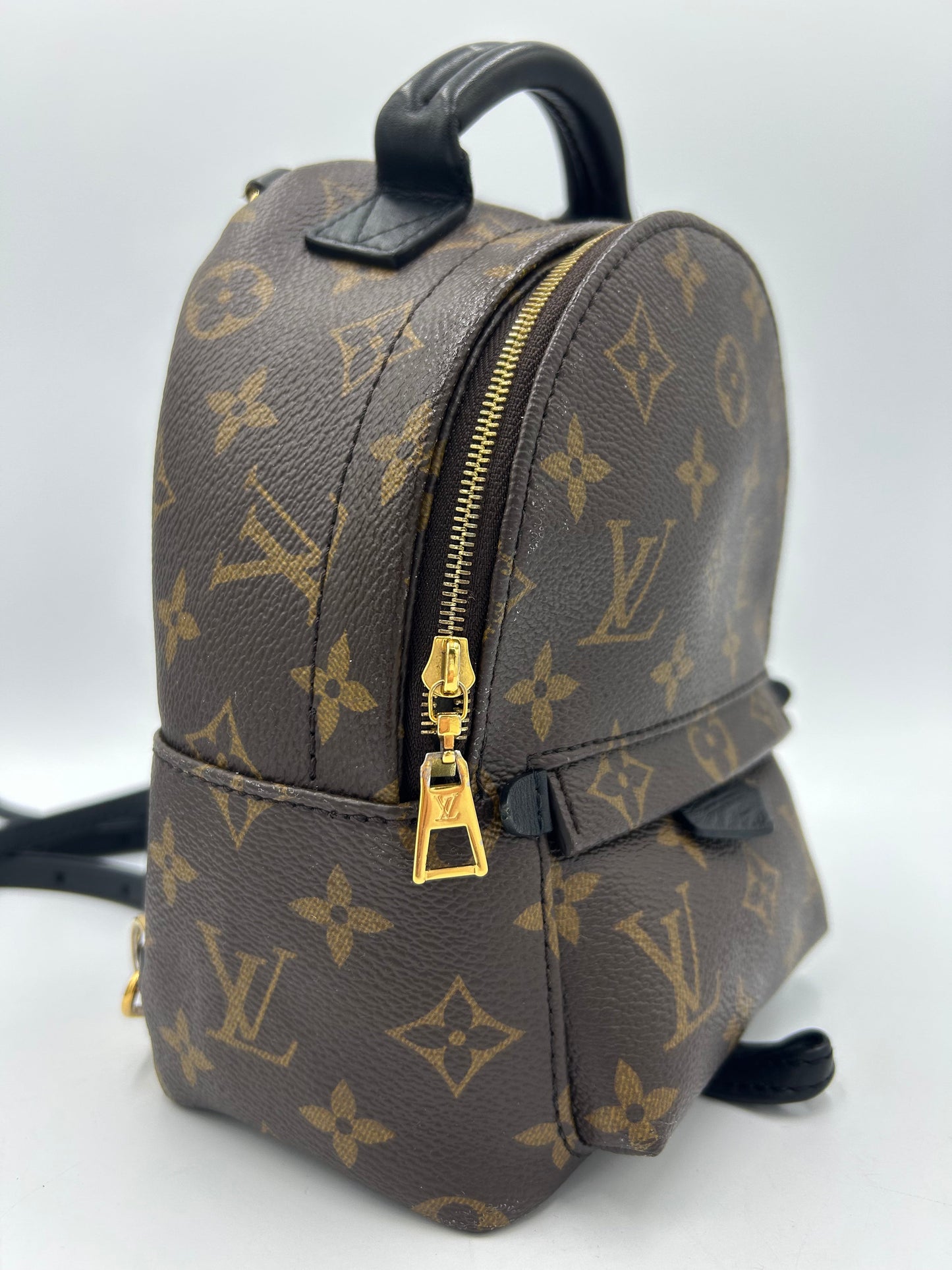 Louis Vuitton Palm Springs Mini Backpack