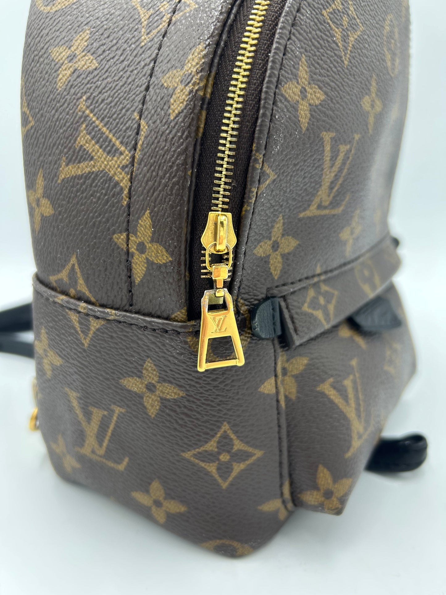 Louis Vuitton Palm Springs Mini Backpack