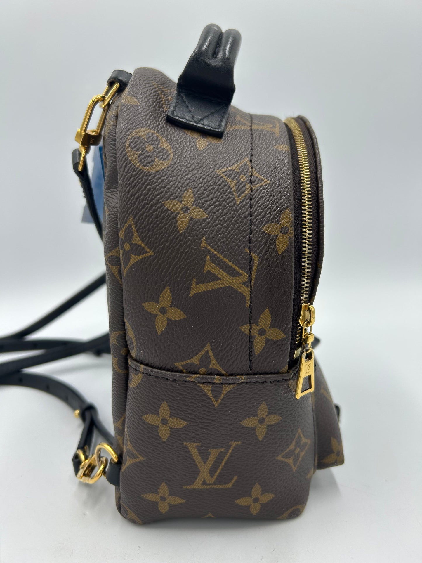 Louis Vuitton Palm Springs Mini Backpack