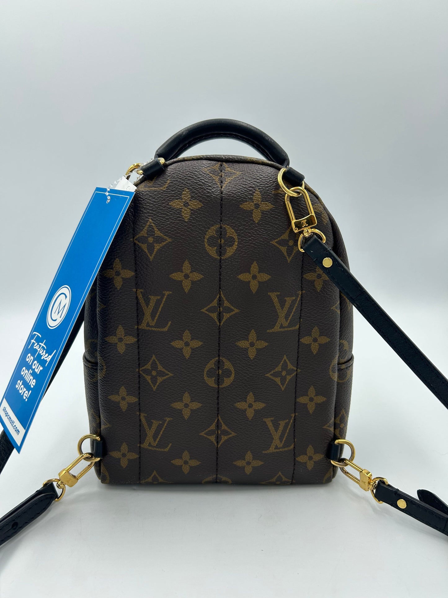 Louis Vuitton Palm Springs Mini Backpack