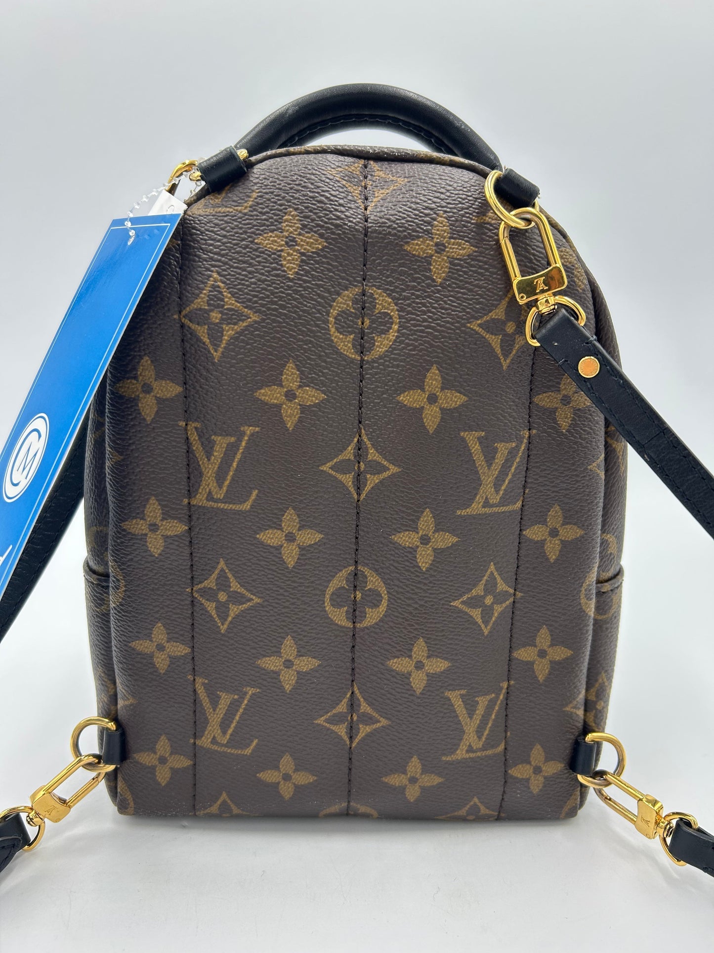 Louis Vuitton Palm Springs Mini Backpack