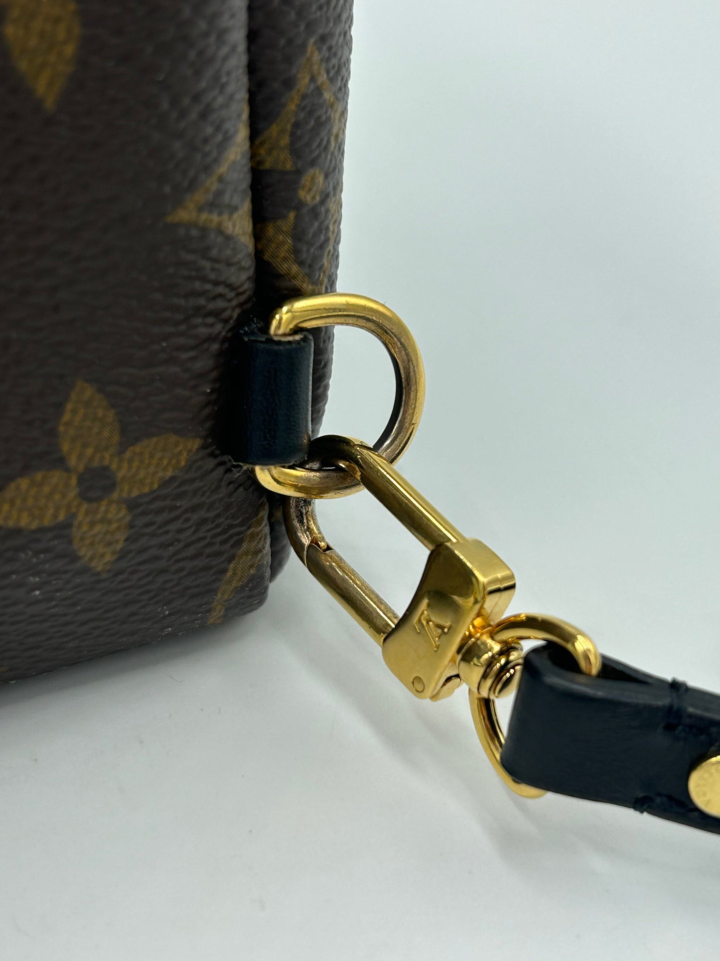 Louis Vuitton Palm Springs Mini Backpack