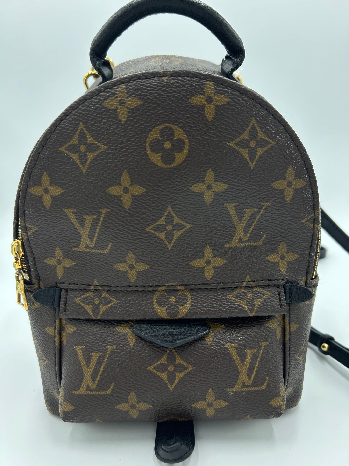 Louis Vuitton Palm Springs Mini Backpack