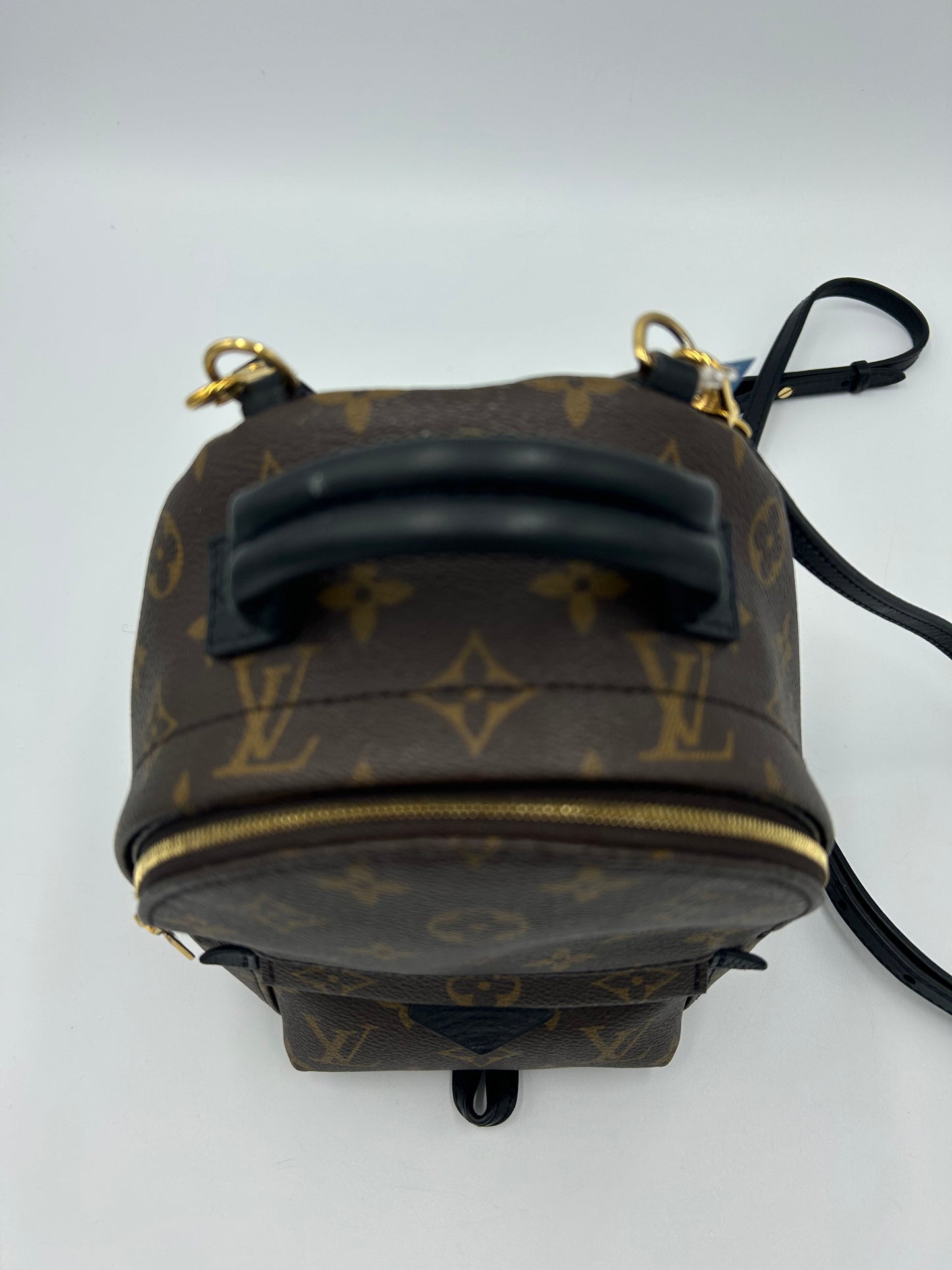 Louis Vuitton Palm Springs Mini Backpack