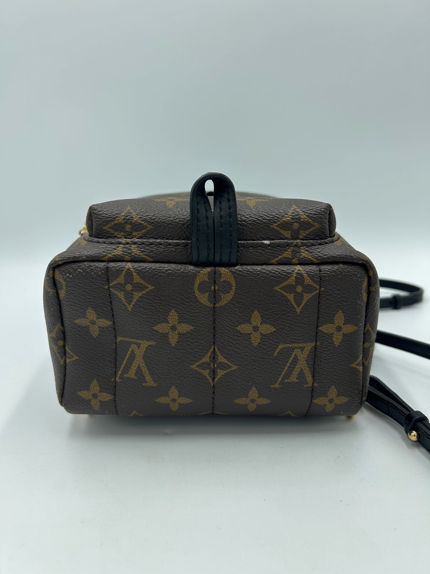 Louis Vuitton Palm Springs Mini Backpack