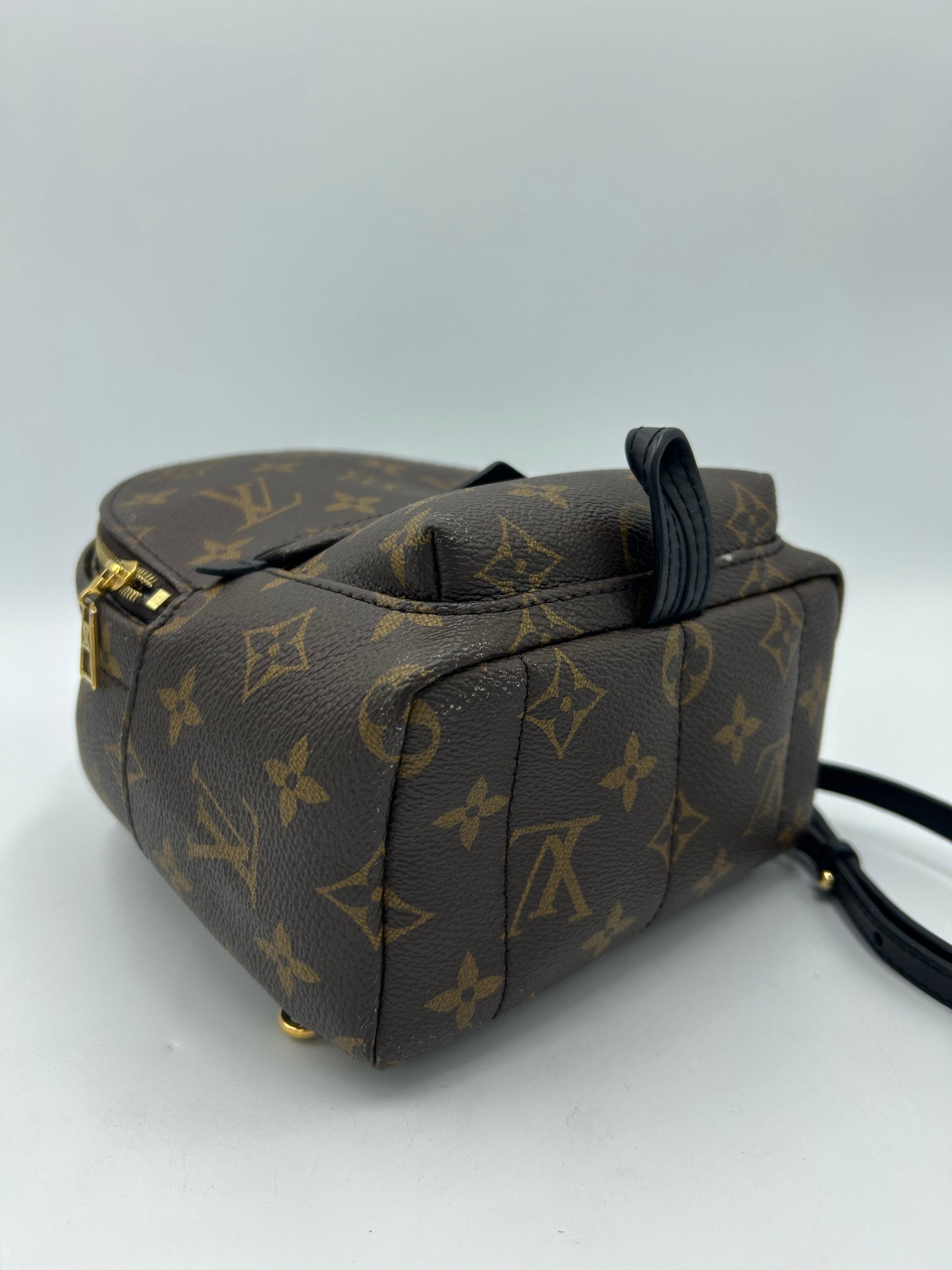Louis Vuitton Palm Springs Mini Backpack