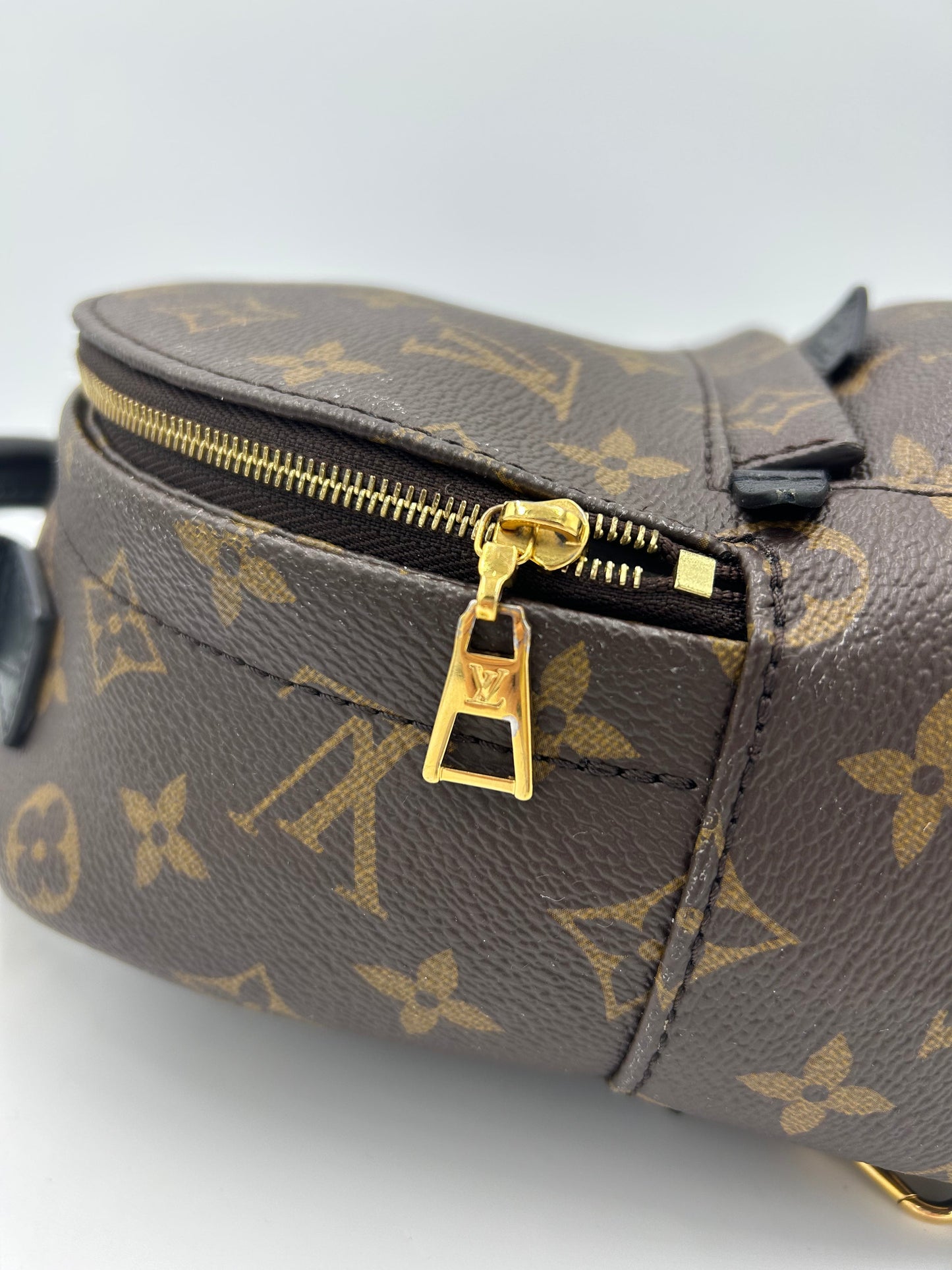 Louis Vuitton Palm Springs Mini Backpack