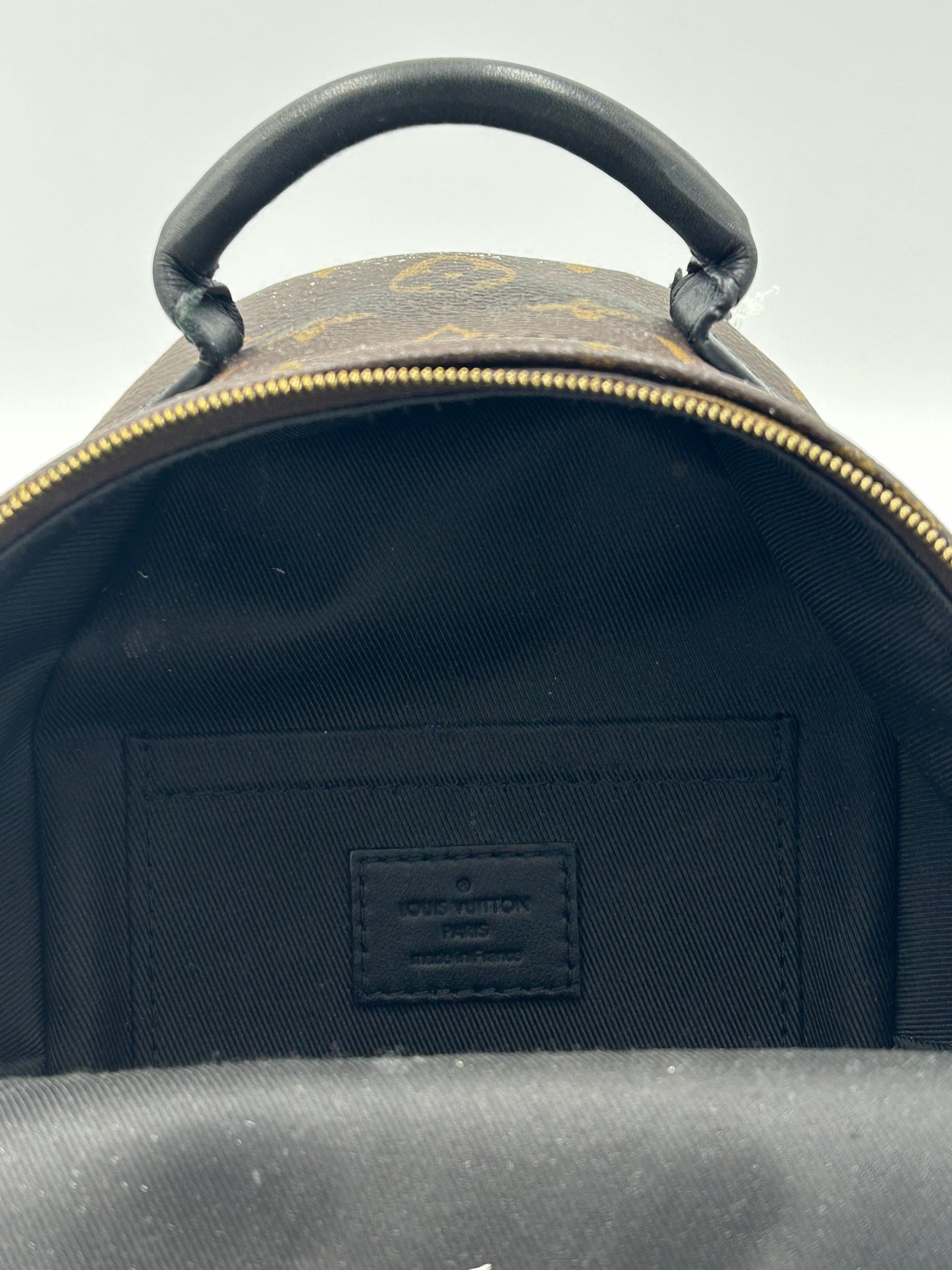 Louis Vuitton Palm Springs Mini Backpack