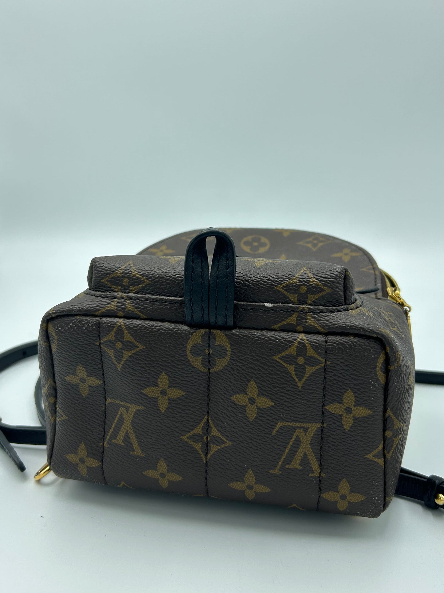 Louis Vuitton Palm Springs Mini Backpack