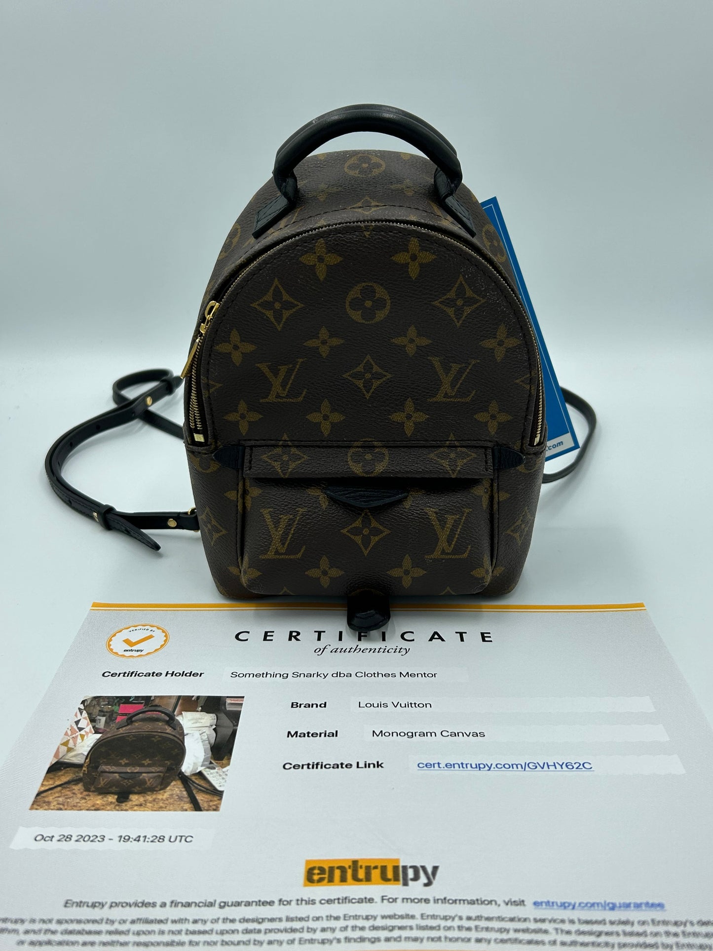 Louis Vuitton Palm Springs Mini Backpack