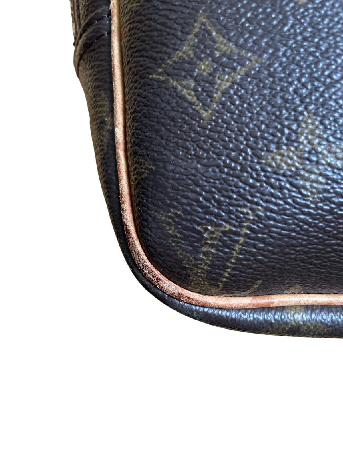 Louis Vuitton Reporter PM Monogram
