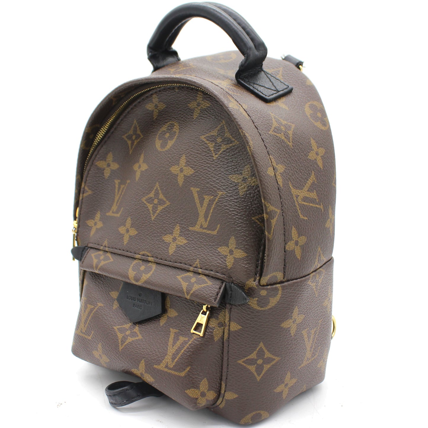 Palm Spring Mini Backpack Monogram Canvas