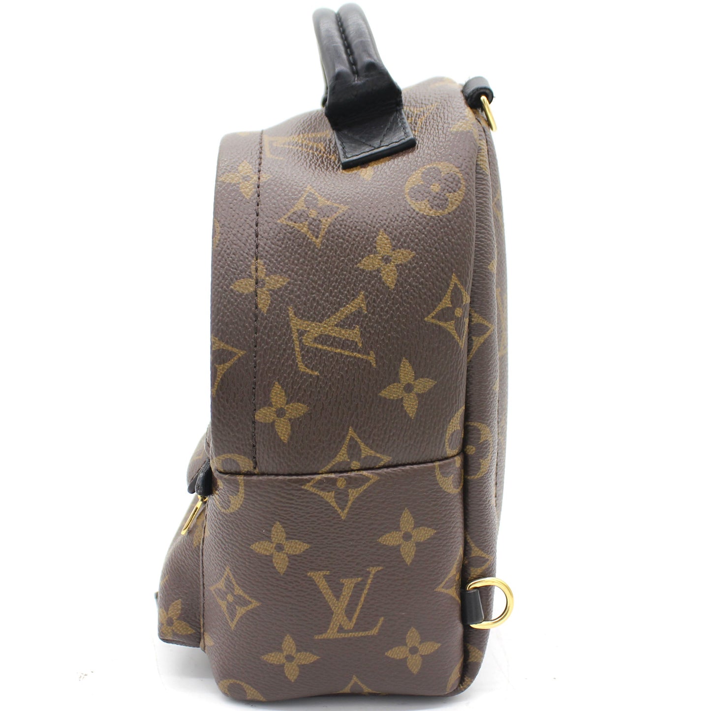 Palm Spring Mini Backpack Monogram Canvas