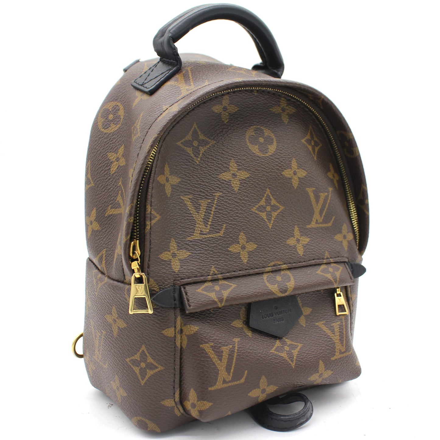 Palm Spring Mini Backpack Monogram Canvas