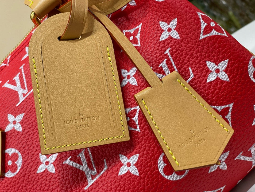 LB1013 Speedy P9 Bandoulière 25 / 9.8 x 5.9 x 5.9 inches / HIGHEST QUALITY VERSION