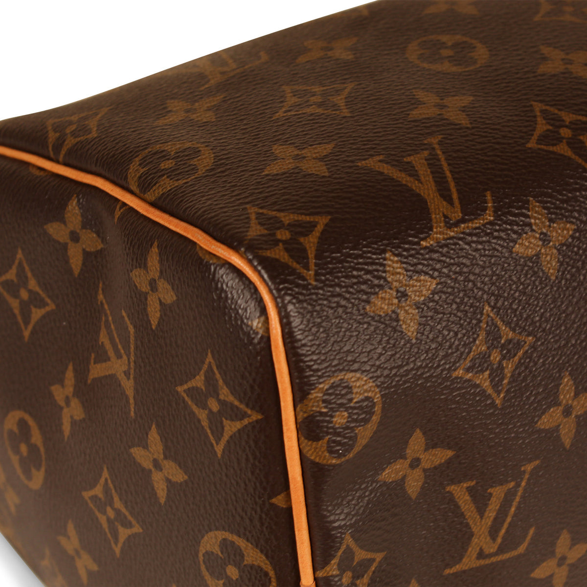 Speedy 25 - Monogram Canvas