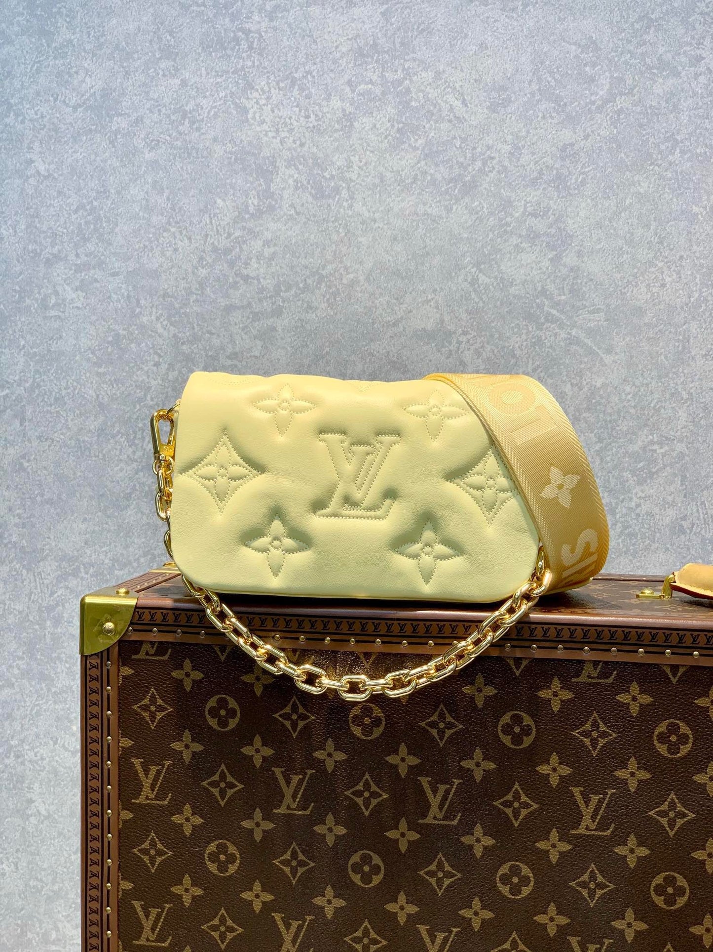 LB663 Wallet on Strap Bubblegram / HIGHEST QUALITY VERSION / 7.9 x 4.7 x 2.4 inches