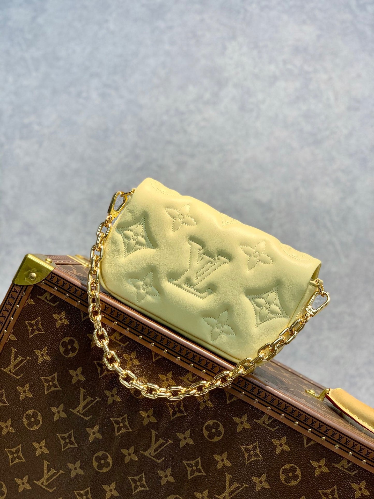 LB664 Wallet on Strap Bubblegram / HIGHEST QUALITY VERSION / 7.9 x 4.7 x 2.4 inches