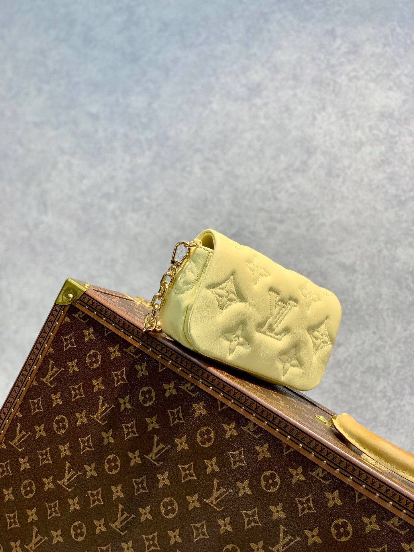 LB664 Wallet on Strap Bubblegram / HIGHEST QUALITY VERSION / 7.9 x 4.7 x 2.4 inches