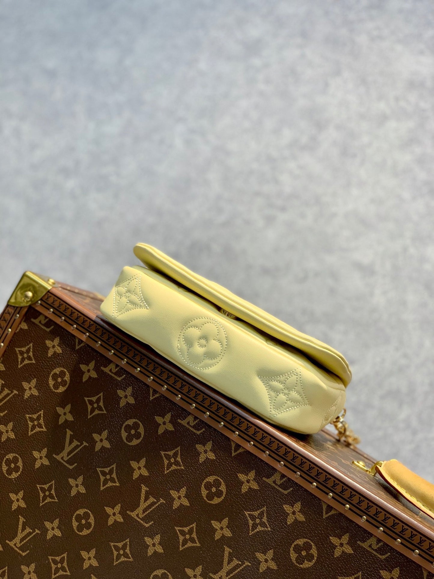 LB664 Wallet on Strap Bubblegram / HIGHEST QUALITY VERSION / 7.9 x 4.7 x 2.4 inches