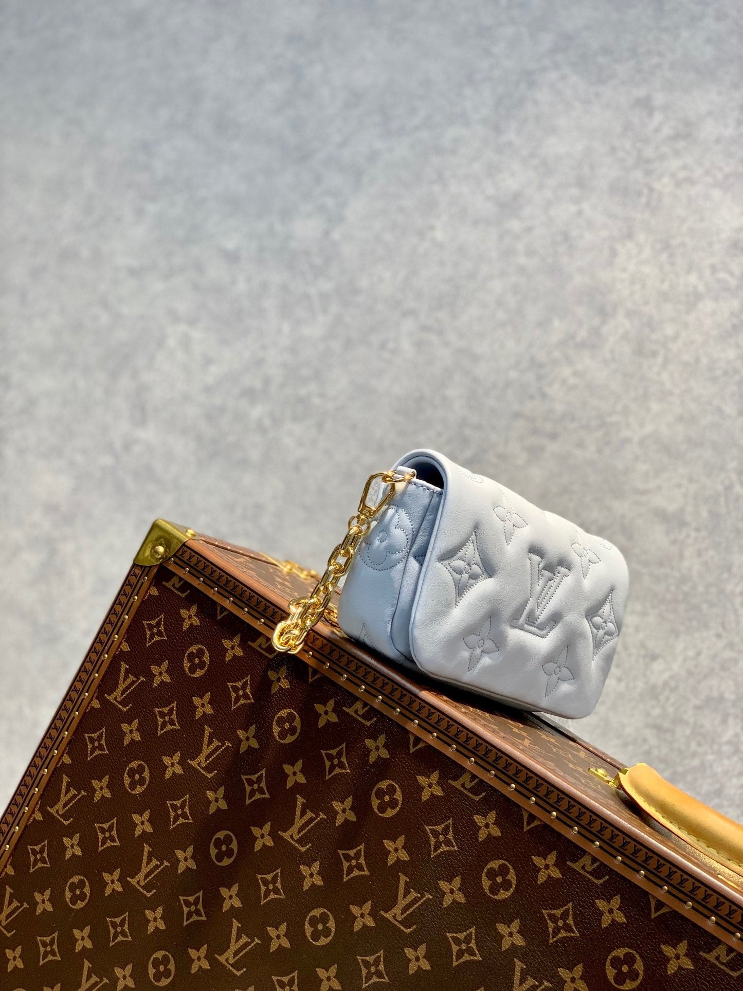 LB665 Wallet on Strap Bubblegram / HIGHEST QUALITY VERSION / 7.9 x 4.7 x 2.4 inches