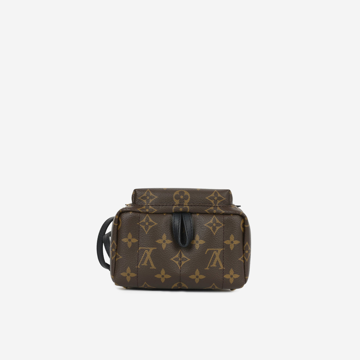 Mini Palm Springs - Monogram