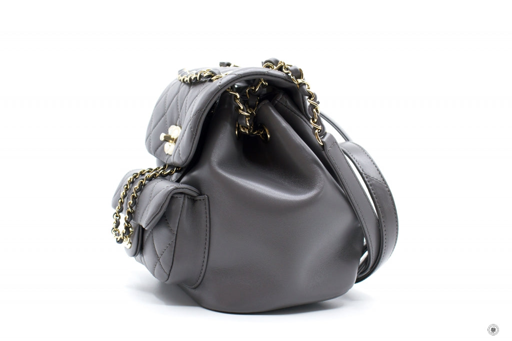 Chanel AS2908B08609 Mini Duma NI691   Grey Calfskin Backpacks Pbhw