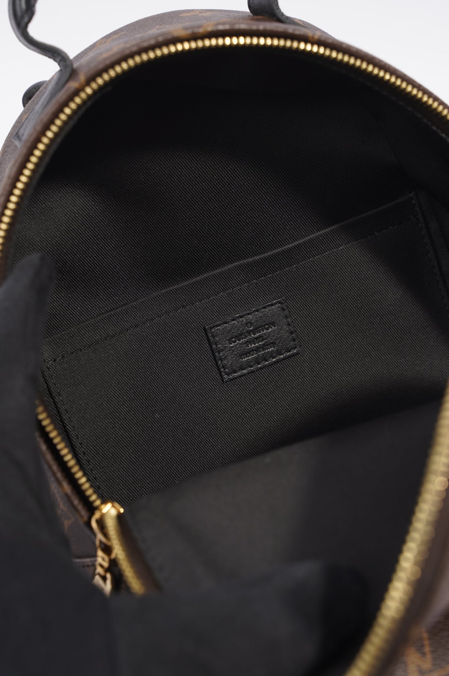 Louis Vuitton Palms Spring Backpack Monogram PM