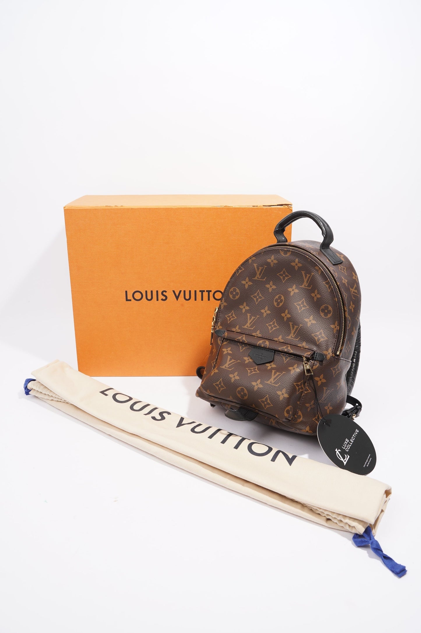 Louis Vuitton Palms Spring Backpack Monogram PM