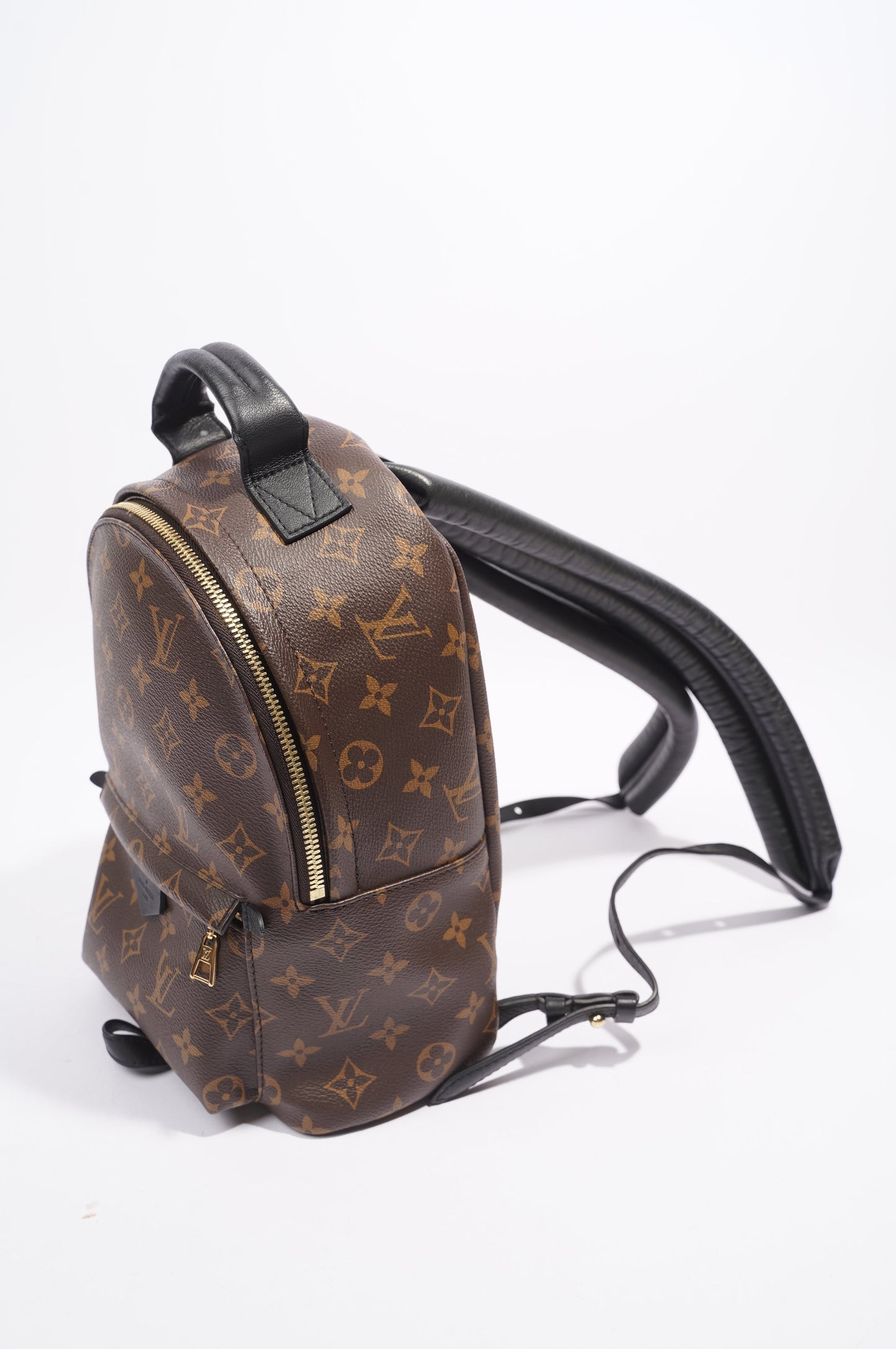 Louis Vuitton Palms Spring Backpack Monogram PM