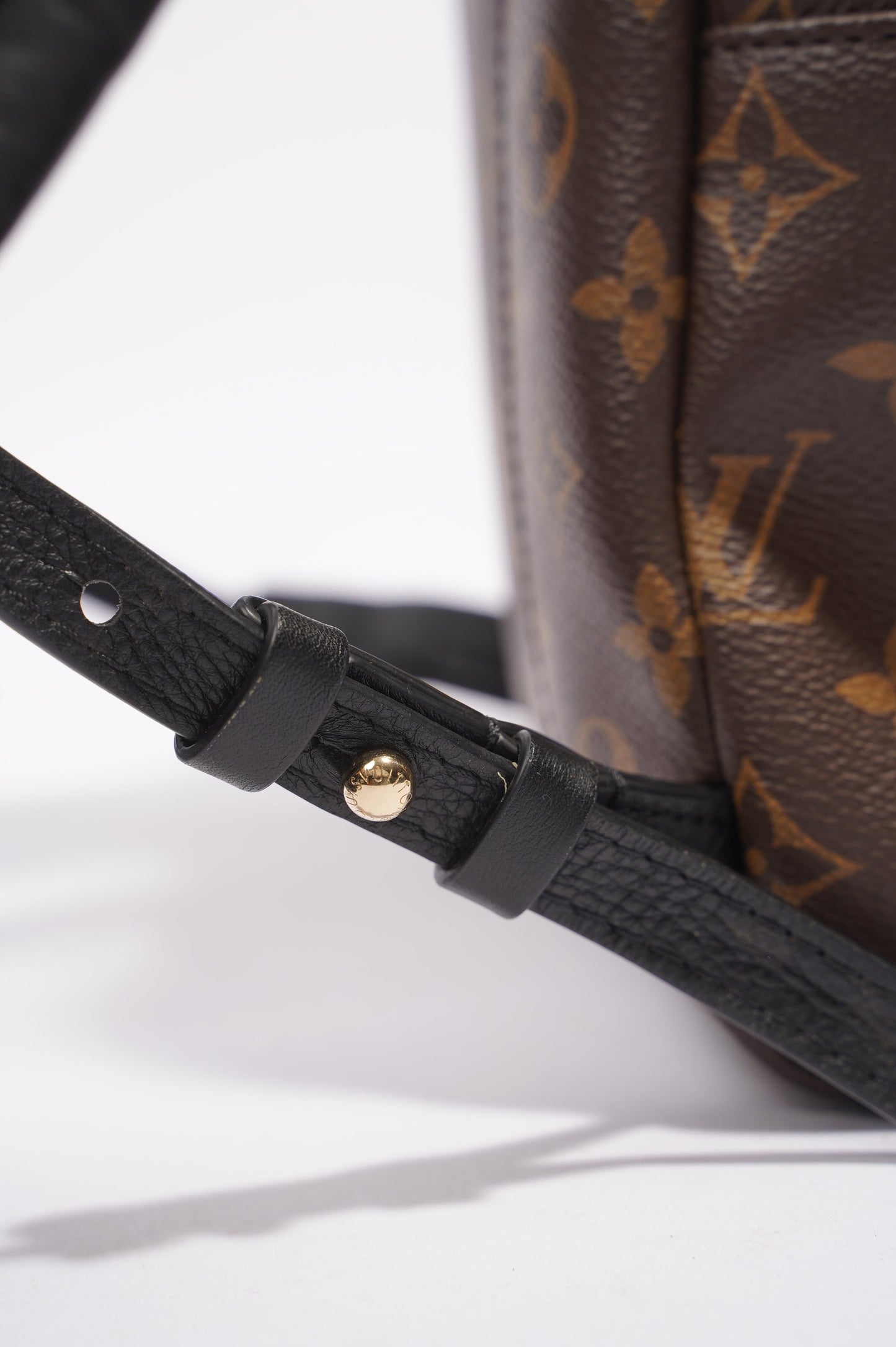 Louis Vuitton Palms Spring Backpack Monogram PM