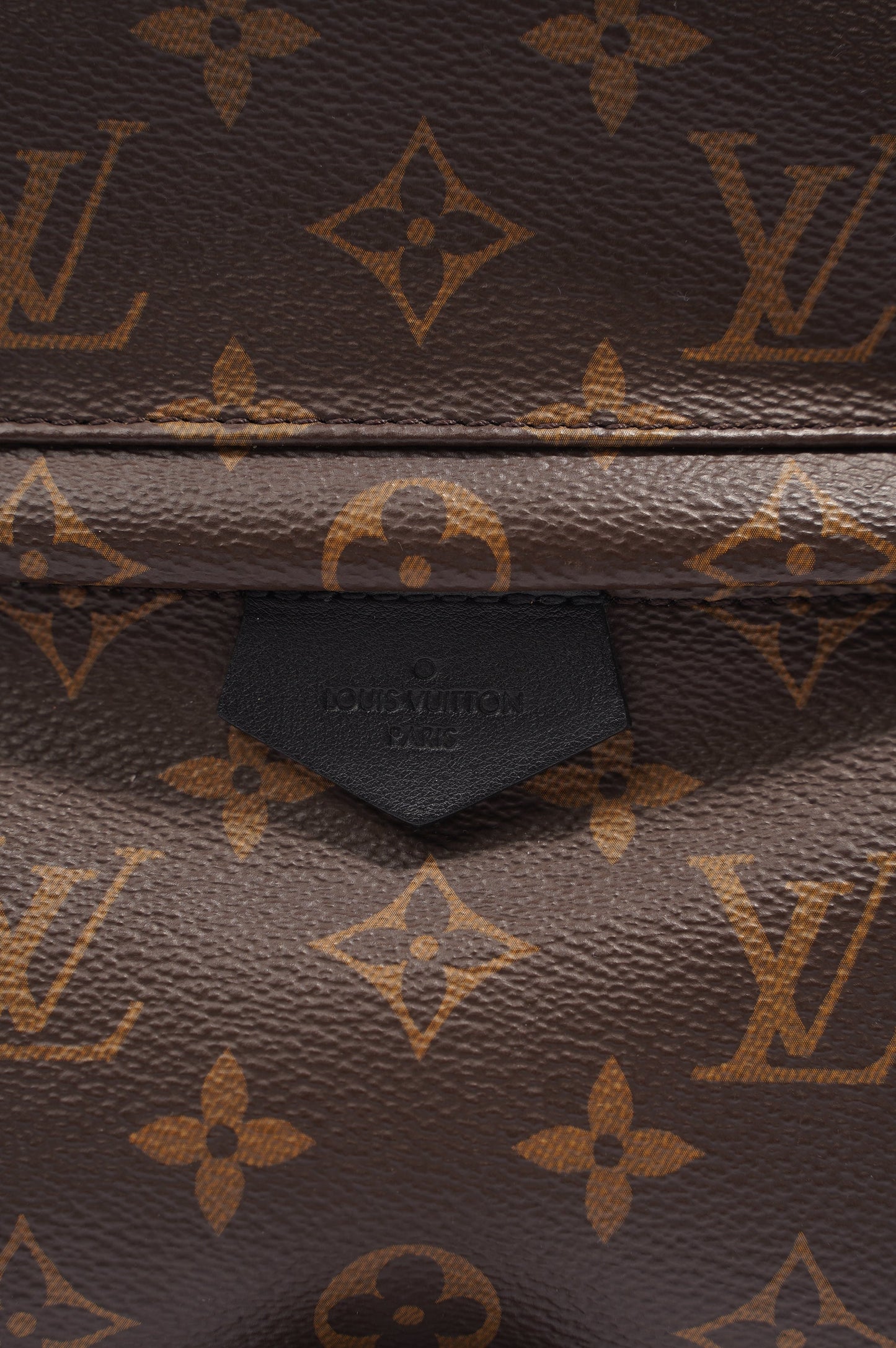 Louis Vuitton Palms Spring Backpack Monogram PM
