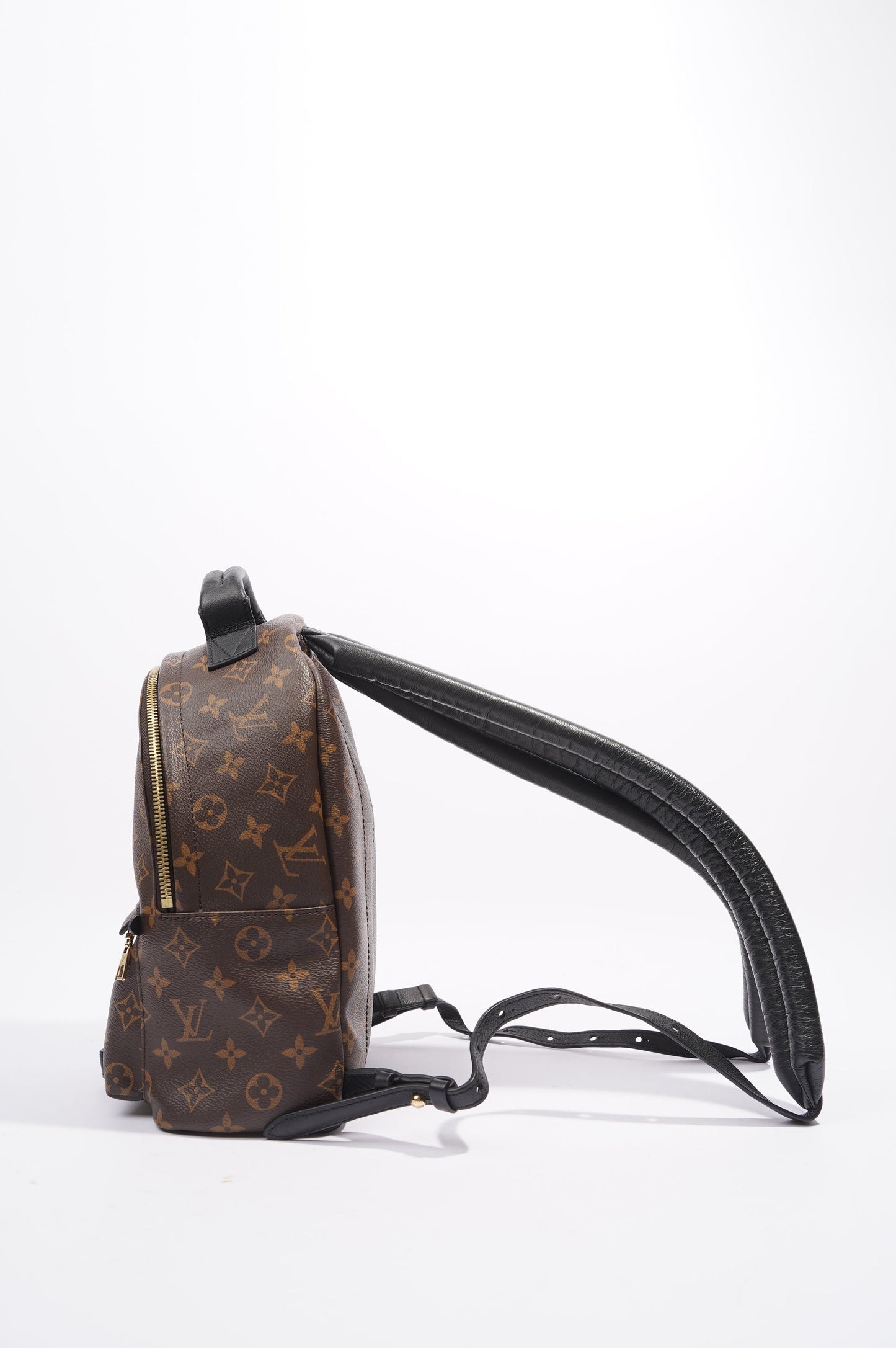 Louis Vuitton Palms Spring Backpack Monogram PM