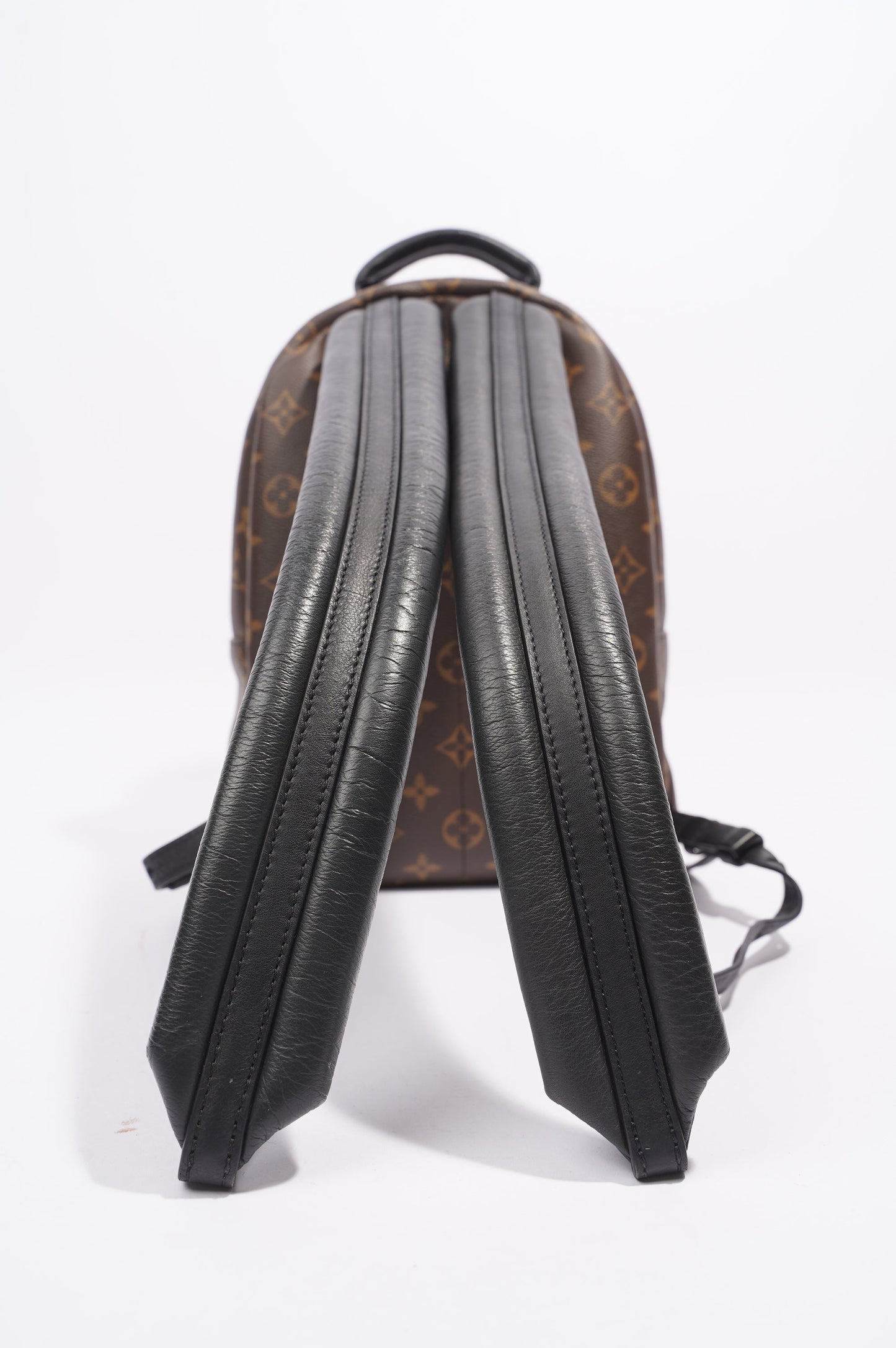 Louis Vuitton Palms Spring Backpack Monogram PM