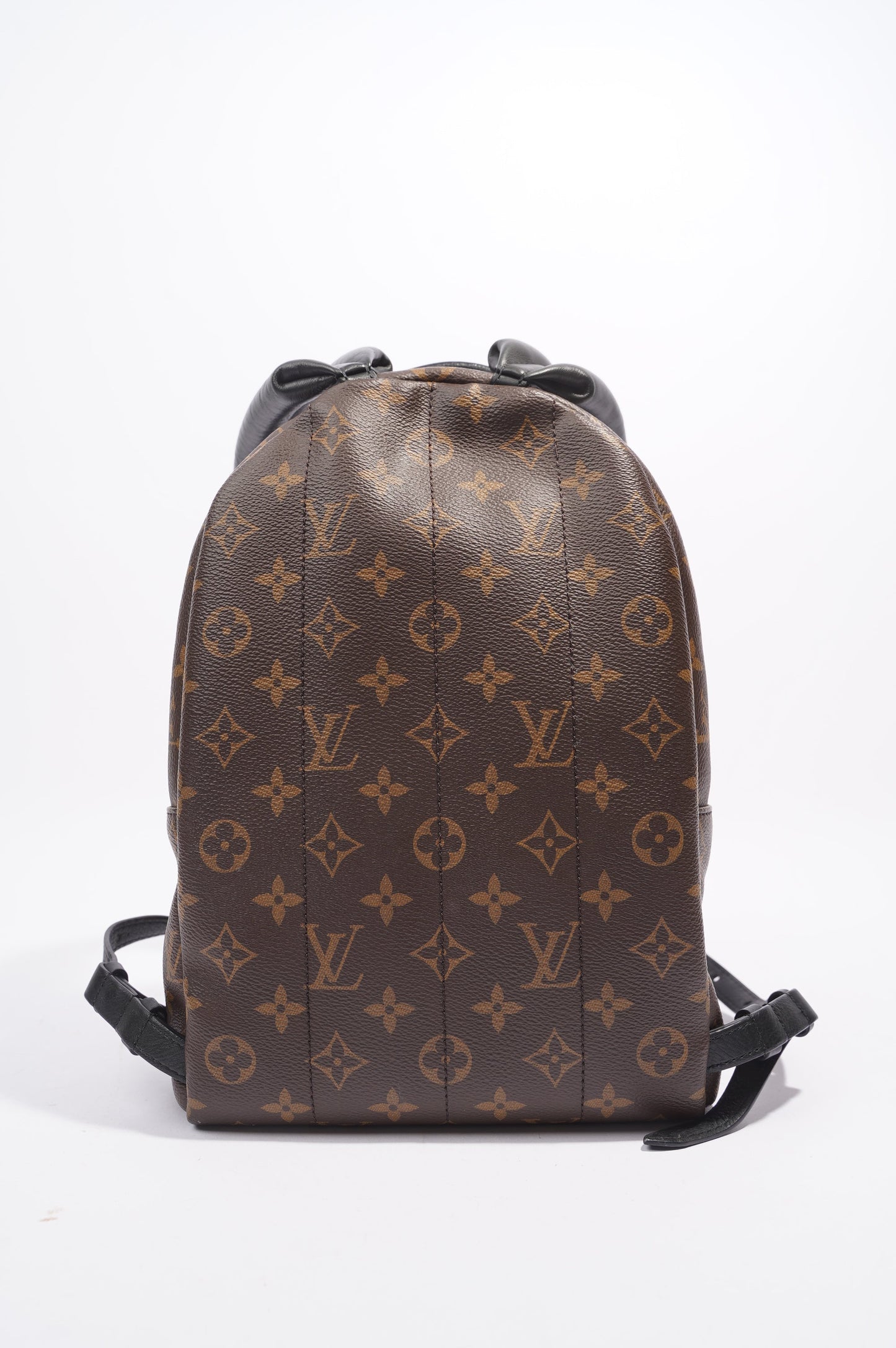 Louis Vuitton Palms Spring Backpack Monogram PM