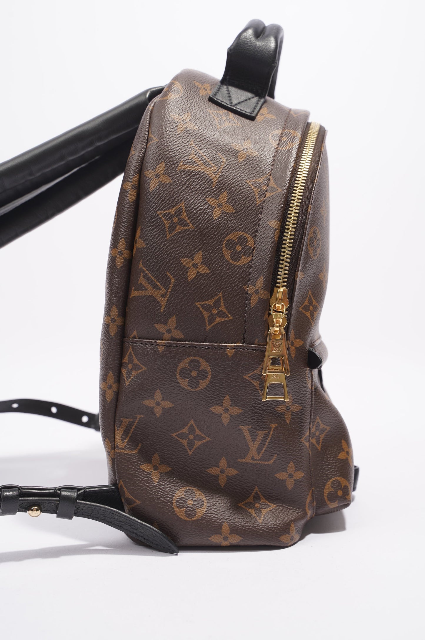 Louis Vuitton Palms Spring Backpack Monogram PM