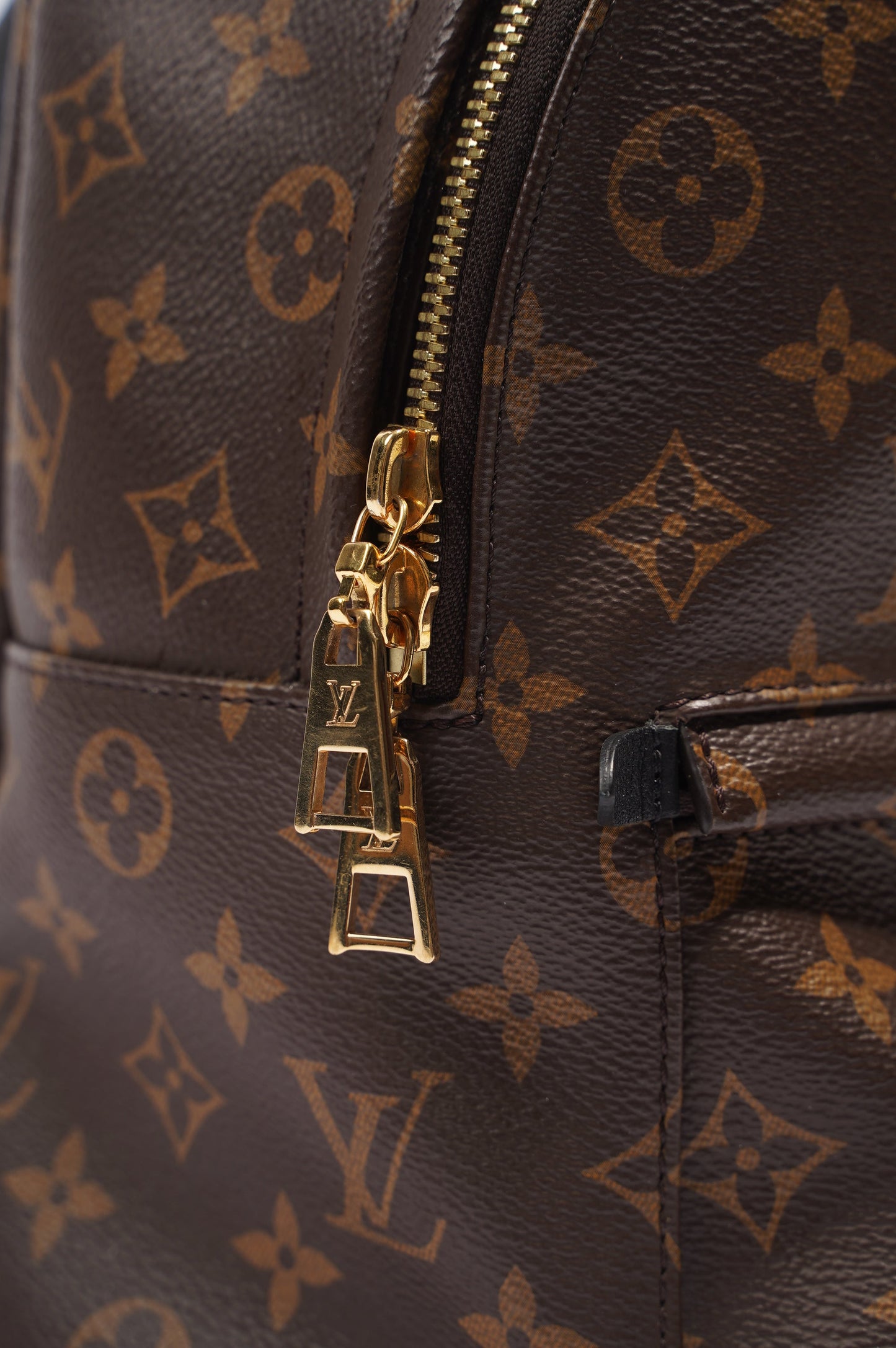 Louis Vuitton Palms Spring Backpack Monogram PM
