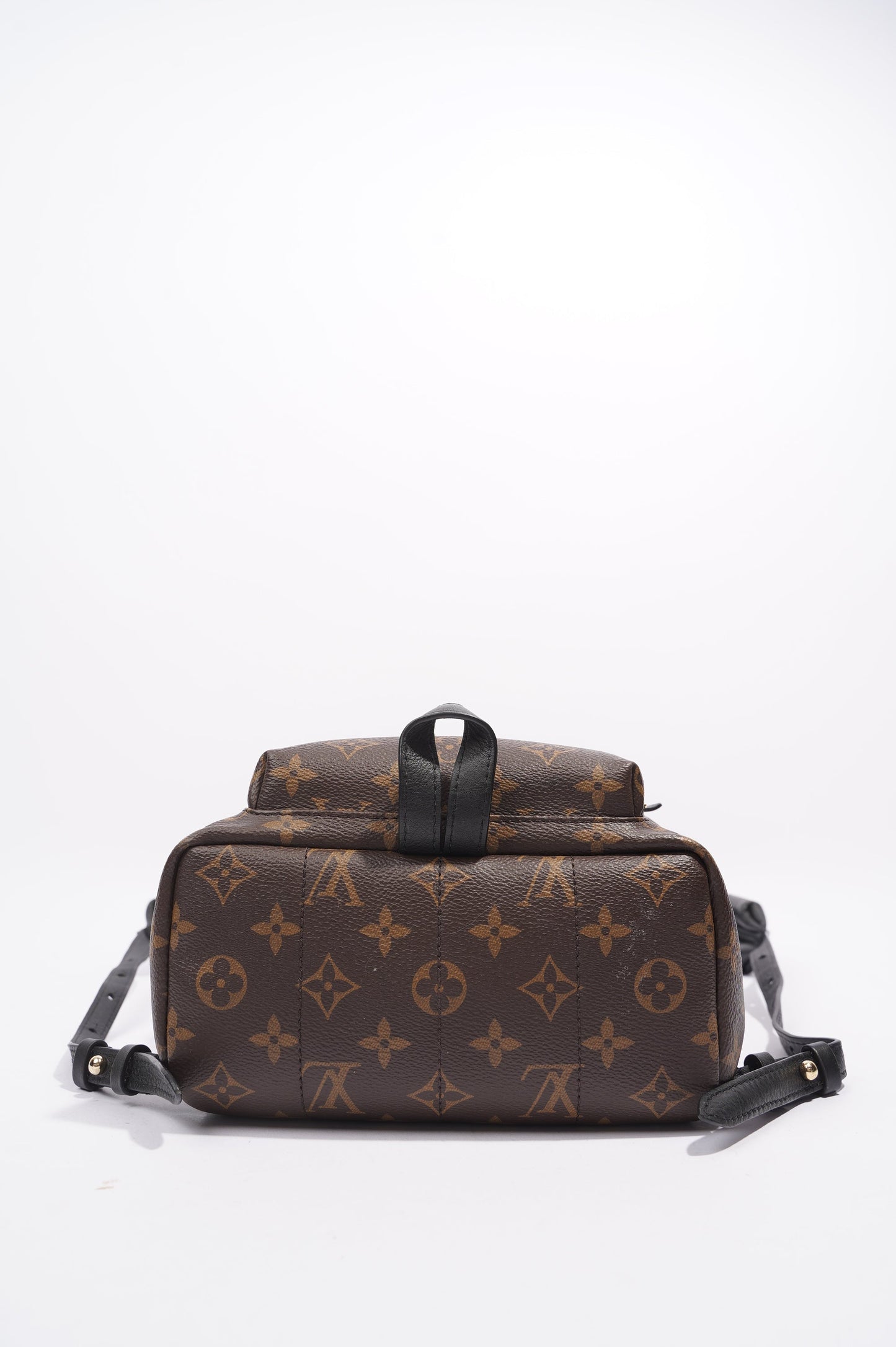 Louis Vuitton Palms Spring Backpack Monogram PM