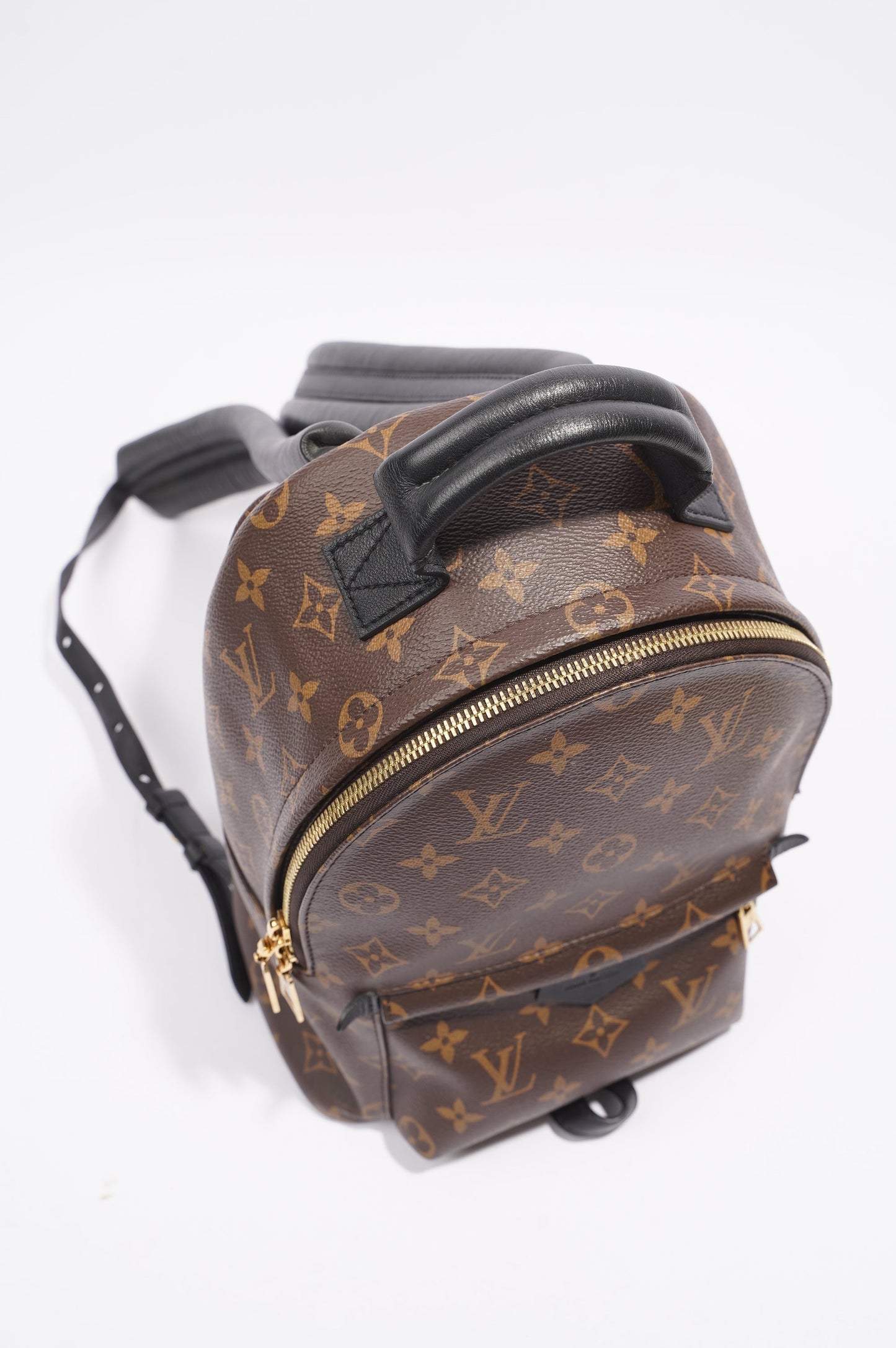 Louis Vuitton Palms Spring Backpack Monogram PM