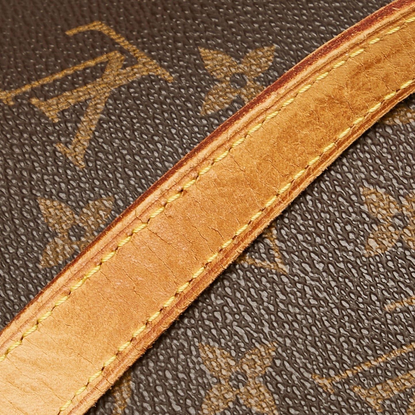 Louis Vuitton Monogram Luco Tote Bag