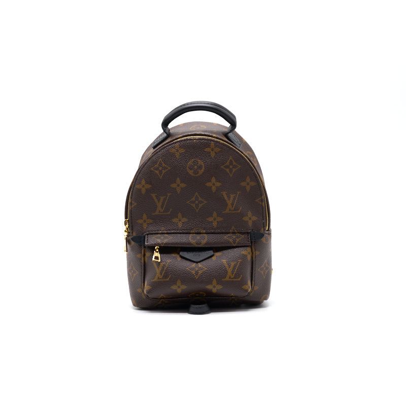 Louis Vuitton PALM SPRINGS MINI