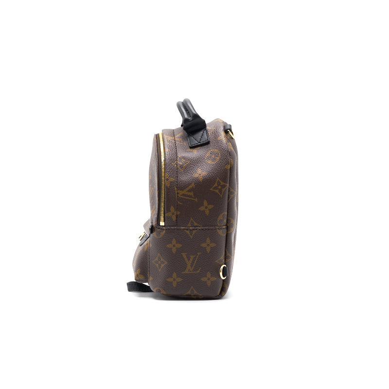 Louis Vuitton PALM SPRINGS MINI